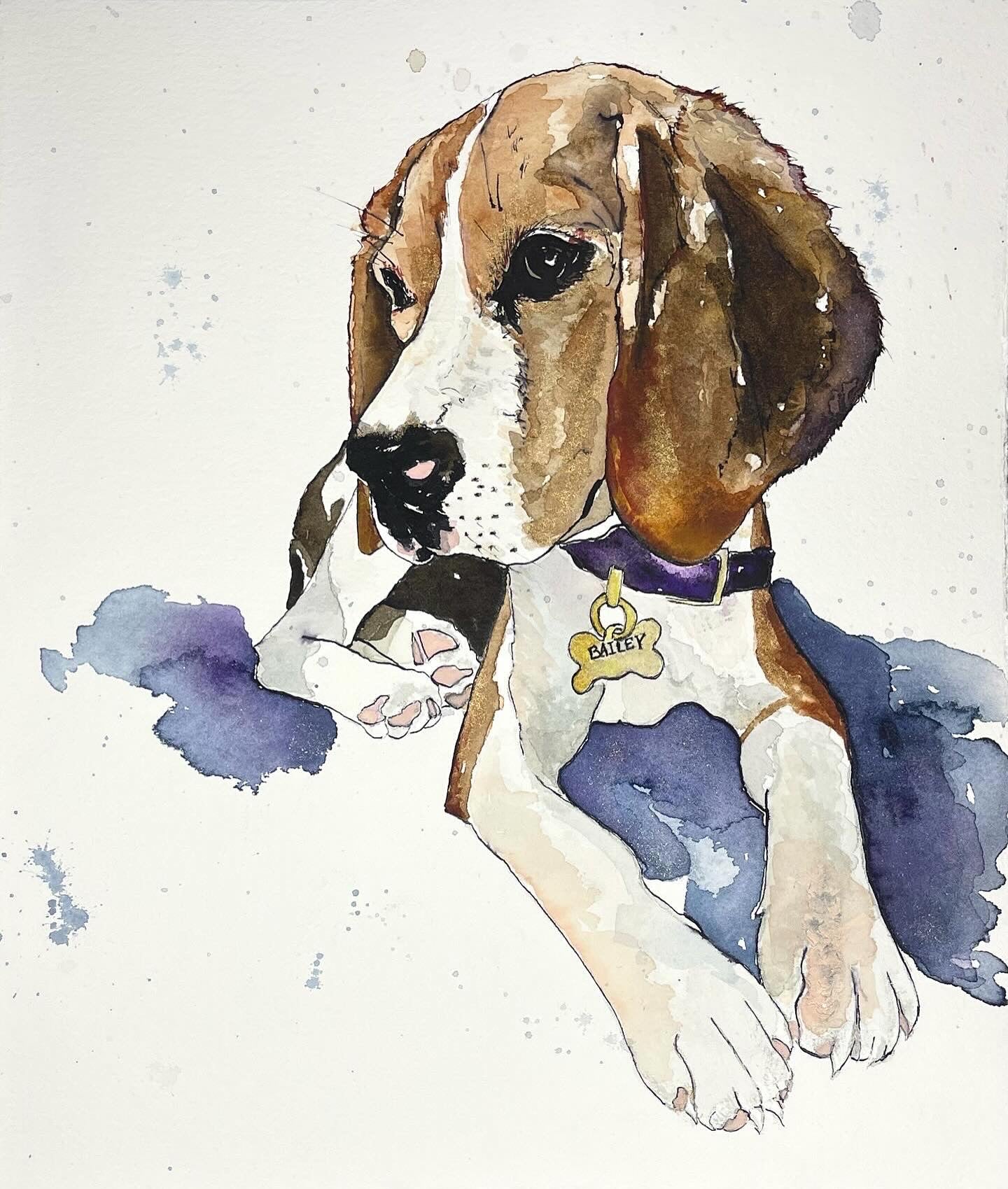 PET PORTRAITS